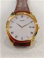 Orologio Pulsar Uomo in Acciaio PPH176 - PPH176